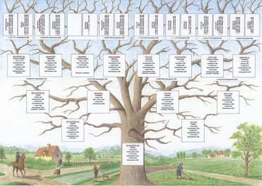 arbre généalogique