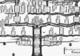 image arbre